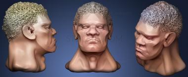 3D model Male head 01 (STL)